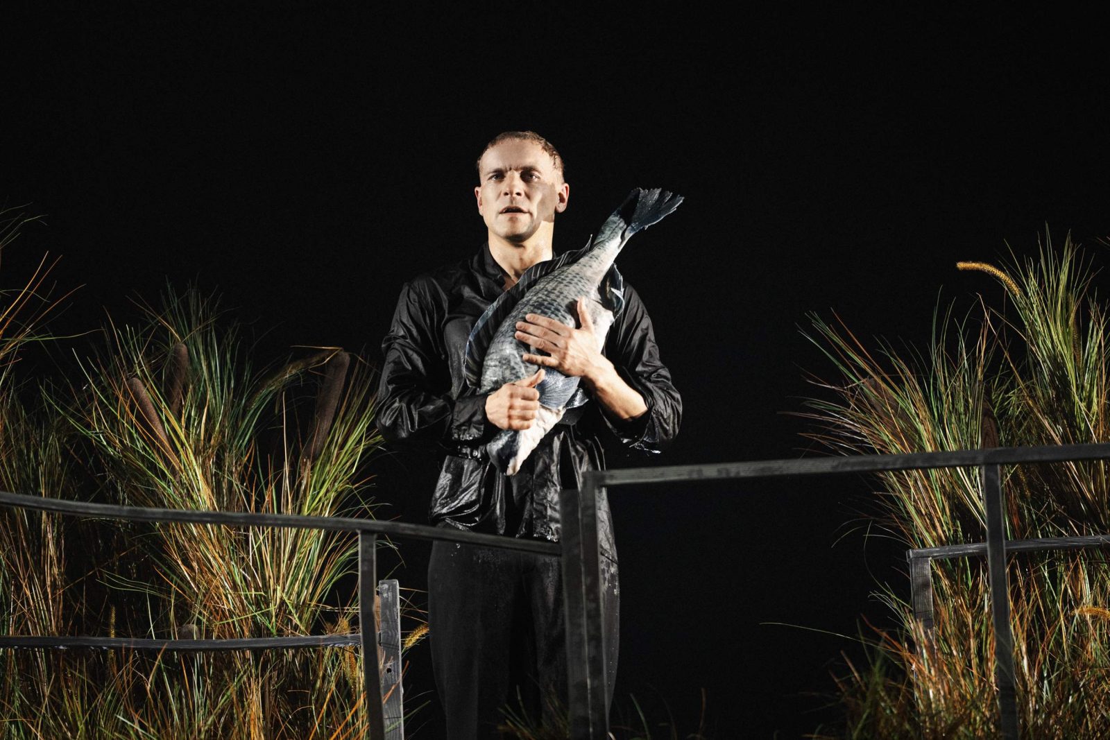 Светит, да не греет