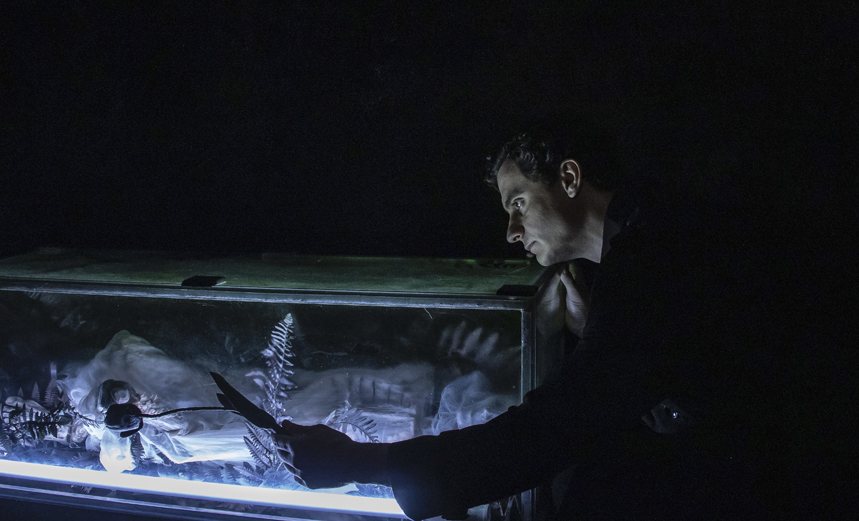 Последний сон уточки