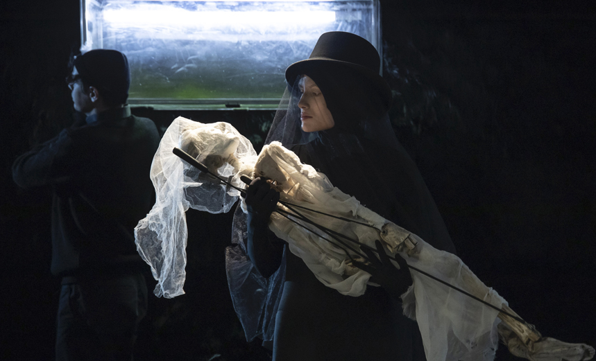 Последний сон уточки